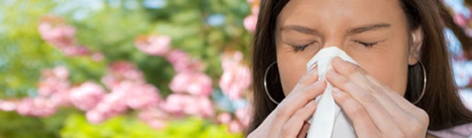 allergy season Allergy season in Phoenix and Scottsdale is typically during the winter and spring months.