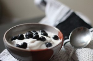 yogurt protein